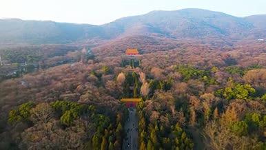 4k航拍南京明孝陵景区视频的预览图